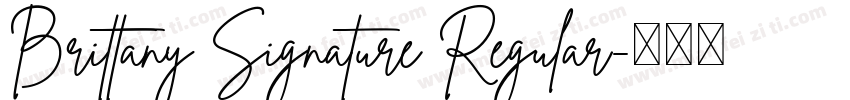Brittany Signature Regular字体转换